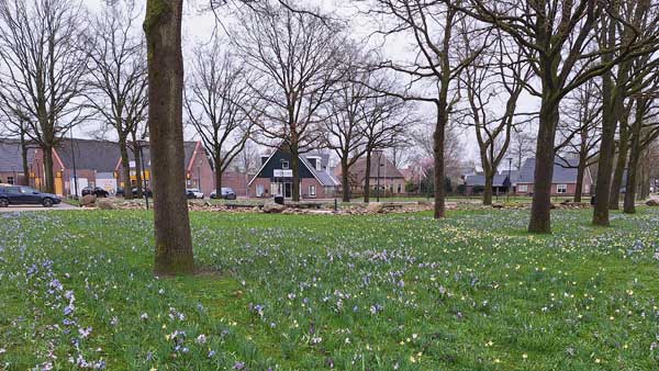 Van Weezelplein in het maart